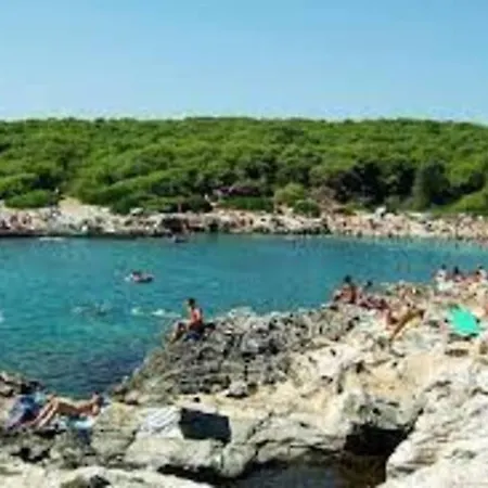 Tatil Evi Lachorisia Soleto