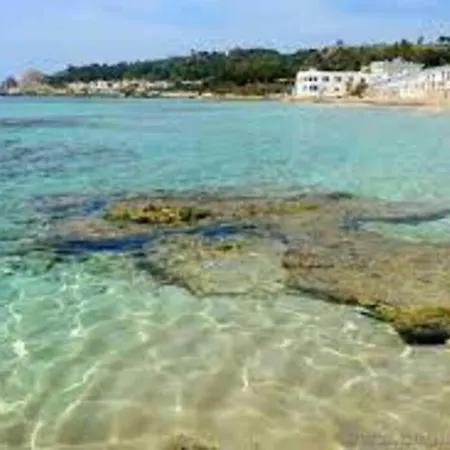 Lachorisia