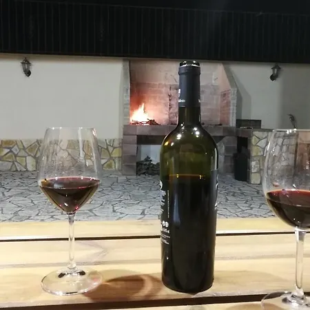 Lachorisia Soleto
